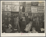 Auctioning livestock at Sales Hall, Ames, Iowa. These sales are very frequent throughout Iowa and Illinois