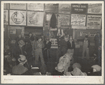 Auctioning livestock at Sales Hall, Ames, Iowa. These sales are very frequent throughout Iowa and Illinois