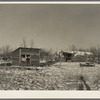 Chicken house and cattle barn, made of straw and wire, on William Helmke farm near Dickens, Iowa. The ninety acres and the crop share lease owned by a lawyer. All the buildings are of his own construction