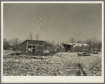 Chicken house and cattle barn, made of straw and wire, on William Helmke farm near Dickens, Iowa. The ninety acres and the crop share lease owned by a lawyer. All the buildings are of his own construction