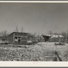 Chicken house and cattle barn, made of straw and wire, on William Helmke farm near Dickens, Iowa. The ninety acres and the crop share lease owned by a lawyer. All the buildings are of his own construction