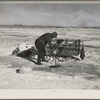 A.W. Batcher placing trap for muskrats through hole in ice of slough. North of Dickens, Iowa. Note trapper's tools on sled and the muskrat house