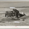 A.W. Batcher placing trap for muskrats through hole in ice of slough. North of Dickens, Iowa. Note trapper's tools on sled and the muskrat house