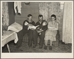 William Helmke, wife, baby, and brother live in one-room shack on ninety acre farm owned by lawyer. Iowa