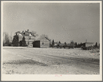 Rustan brothers' farm near Dickens, Iowa. Two hundred forty acres, crop share lease, owned by loan company. Title not clear, but loan company collects the rent and makes a few repairs