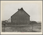 Barn of Lyle Askeland farm, six hundred forty acres near Armstrong, Iowa. Owned by loan company. Until recently it was owned by absentee estate. Barn received little or no attention over period of twenty years