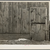 Detail of barn on Lyle Askeland farm of six hundred forty acres, until recently part of an absentee estate near Armstrong, Iowa. Painting and repairing of buildings has been neglected for twenty years