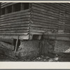 Detail of corn crib on Lyle Askedland farm, six hundred forty acres, near Armstrong, Iowa. This building has received little or no attention in twenty years. This farm until recently was owned by absentee estate. Is now owned by loan company