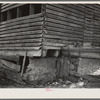 Detail of corn crib on Lyle Askedland farm, six hundred forty acres, near Armstrong, Iowa. This building has received little or no attention in twenty years. This farm until recently was owned by absentee estate. Is now owned by loan company