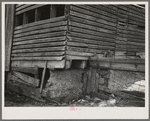 Detail of corn crib on Lyle Askedland farm, six hundred forty acres, near Armstrong, Iowa. This building has received little or no attention in twenty years. This farm until recently was owned by absentee estate. Is now owned by loan company