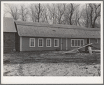 Chicken house (center) erected by tenant Al Richards on farm owned by absentee owner. Near Wallingford, Iowa