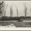 Stacks of fodder. Emmet County, Iowa