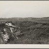 Soil erosion on George Kroeger farm, six miles southwest of Smithland, Iowa. This land is being heavily eroded