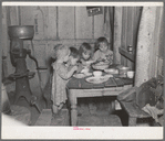 Christmas dinner in home of Earl Pauley. Near Smithfield [i.e. Smithland?], Iowa. Dinner consisted of potatoes, cabbage and pie
