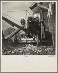 Cornsheller on a farm near Ottawa, Illinois