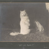 Sit Up, Puff!