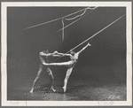 Francisco Moncion and Patricia McBride in Robbins' The Cage