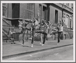 David Winters, Russ Tamblyn, Tucker Smith, Tony Mordente, Eliot Feld, and two unidentified dancers executing a grand battement a la seconde as Jets in the prologue of the motion picture version of West Side Story