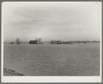 Flooded farmland near New Madrid, Missouri