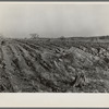 Soil erosion. Hamilton County, Illinois. This land has been cleared of timber and put into corn. Note stumps of trees, and beginning of erosion gullies