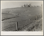 Soil erosion. Posey County, Indiana