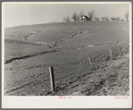 Soil erosion. Posey County, Indiana