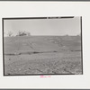 Soil erosion in Posey County, Indiana. Grass has been planted in an effort to slow the process of gully formation