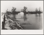 Cache, Illinois, near the crest of the 1937 flood