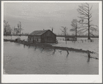 Flooded farm near New Madrid, Missouri