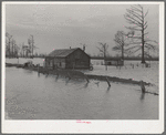 Flooded farm near New Madrid, Missouri