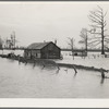 Flooded farm near New Madrid, Missouri