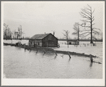 Flooded farm near New Madrid, Missouri