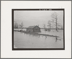 Flooded farm near New Madrid, Missouri