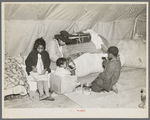 Flood refugees at mealtime. Near Charleston, Missouri