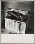 The kitchen sink in a New Haven, Illinois, home after the flood