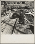 Sighting a circular saw blade at country sawmill near Omaha, Illinois