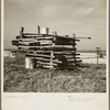 Pen improvised for pigs during the flood on a levee near Cache, Illinois