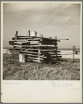 Pen improvised for pigs during the flood on a levee near Cache, Illinois