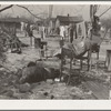 A backyard in Maunie, Illinois, after the flood