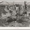 A backyard in Maunie, Illinois, after the flood