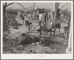 A backyard in Maunie, Illinois, after the flood