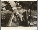 Doll and furniture after the flood. Maunie, Illinois