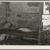 Corner of living room in farmhouse after flood had passed through Point Township. Posey County, Indiana