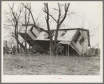 Upturned farmhouse resting against a tree. Result of the flood in Posey County, Indiana