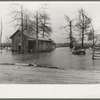 Flooded farm near New Madrid, Missouri