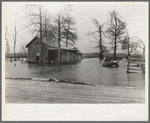 Flooded farm near New Madrid, Missouri