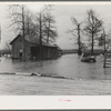 Flooded farm near New Madrid, Missouri
