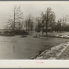 Flooded farm near New Madrid, Missouri