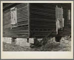 Detail of an abandoned farmhouse. Miller Township, LaSalle County, Illinois