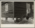 Detail of an abandoned farmhouse. Miller Township, LaSalle County, Illinois